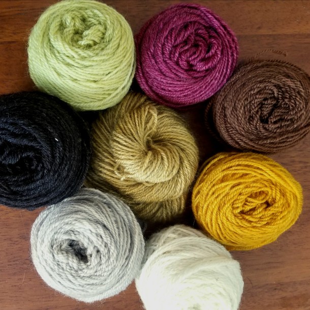 20190216_095629 20190216_095629