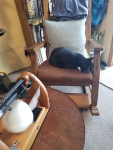 This image has an empty alt attribute; its file name is minispinner-cat-in-chair.jpg